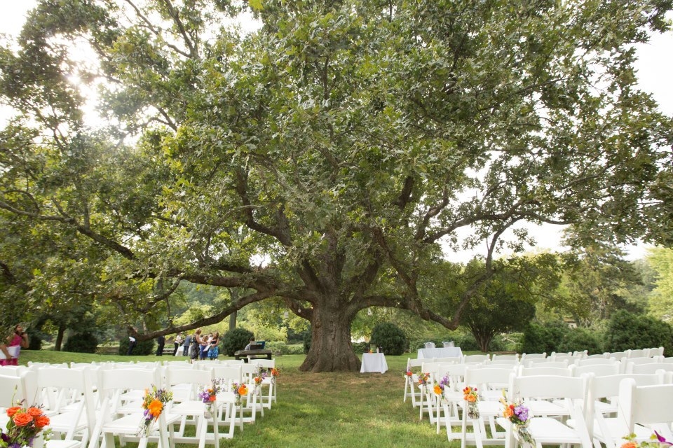 DIY ceremony decorations willow tree northern virginia outdoor wedding