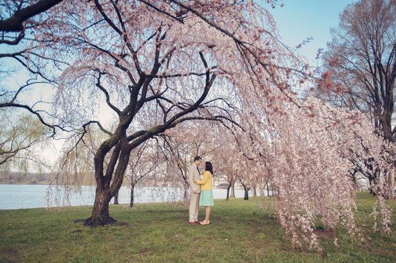 DC engagement cherry blossoms 