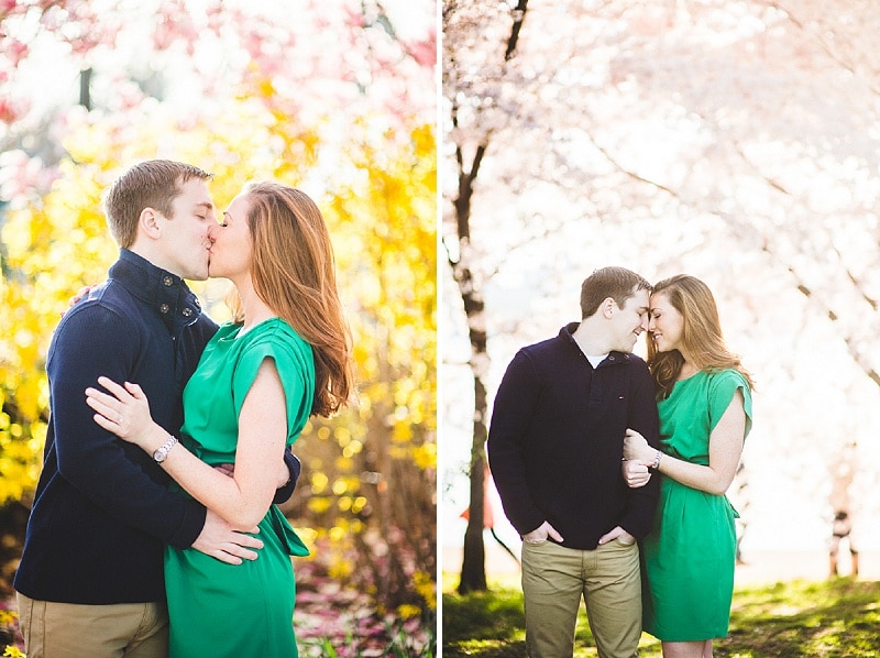 dc cherry blossom engagement pictures (5)