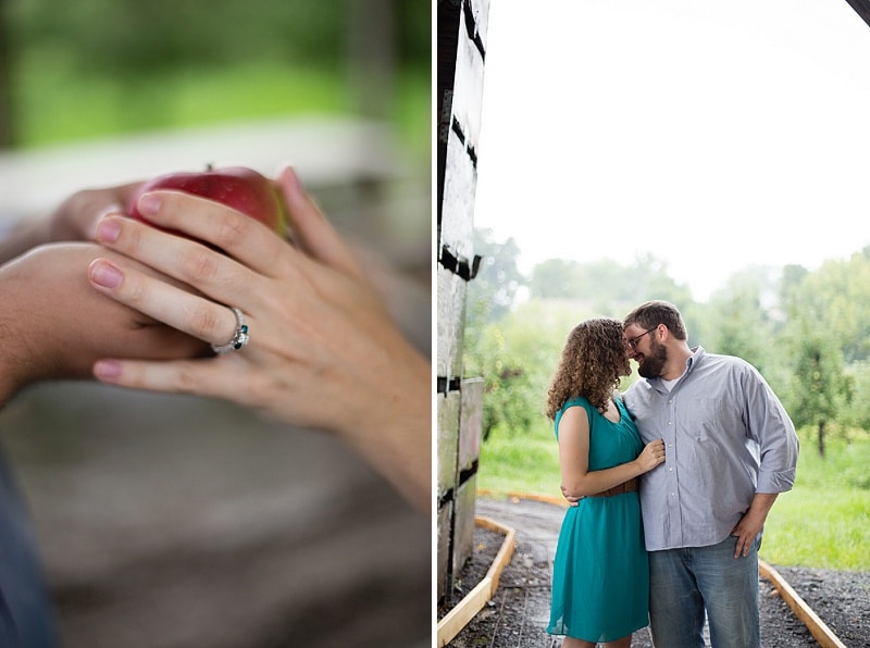 heysers farms maryland engagement pictures (1)