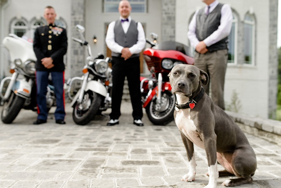 rockabilly rock and roll virginia wedding pictures (13)