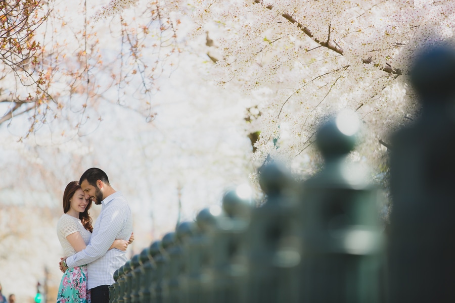 modern cherry blossom engagement pictures washington dc (8)