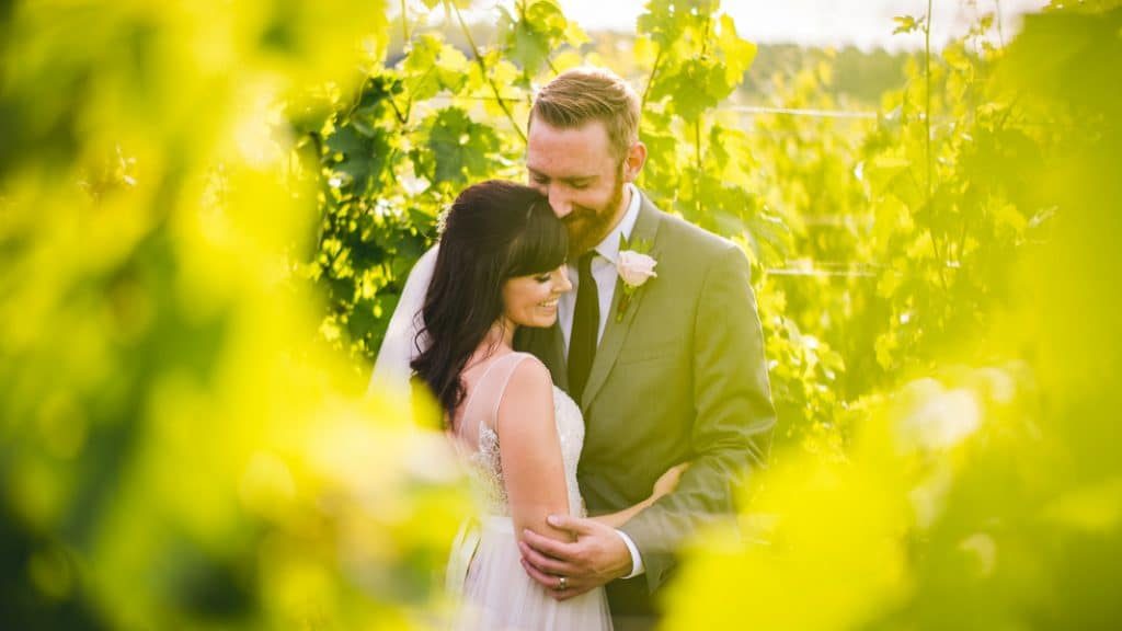 romantic virginia winery wedding (4)
